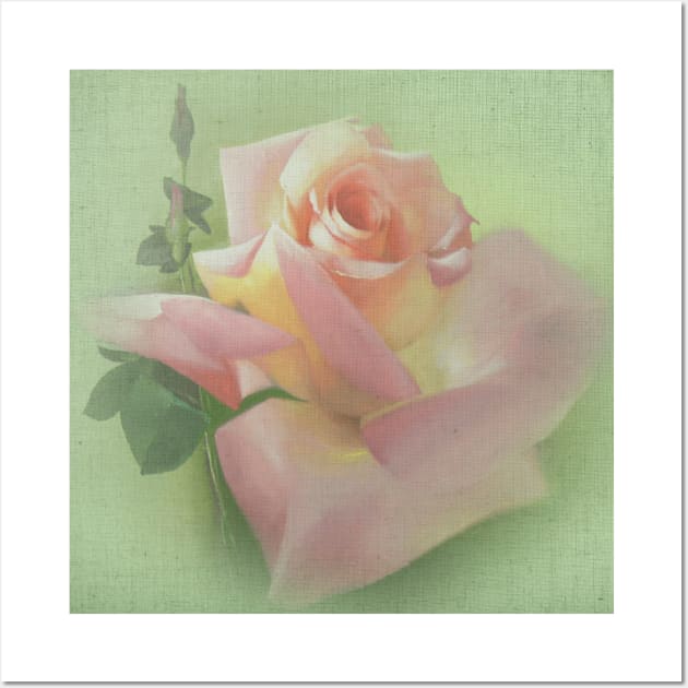 Vicorian Roses Neck Gator Pink Roses on Canvas Wall Art by DANPUBLIC